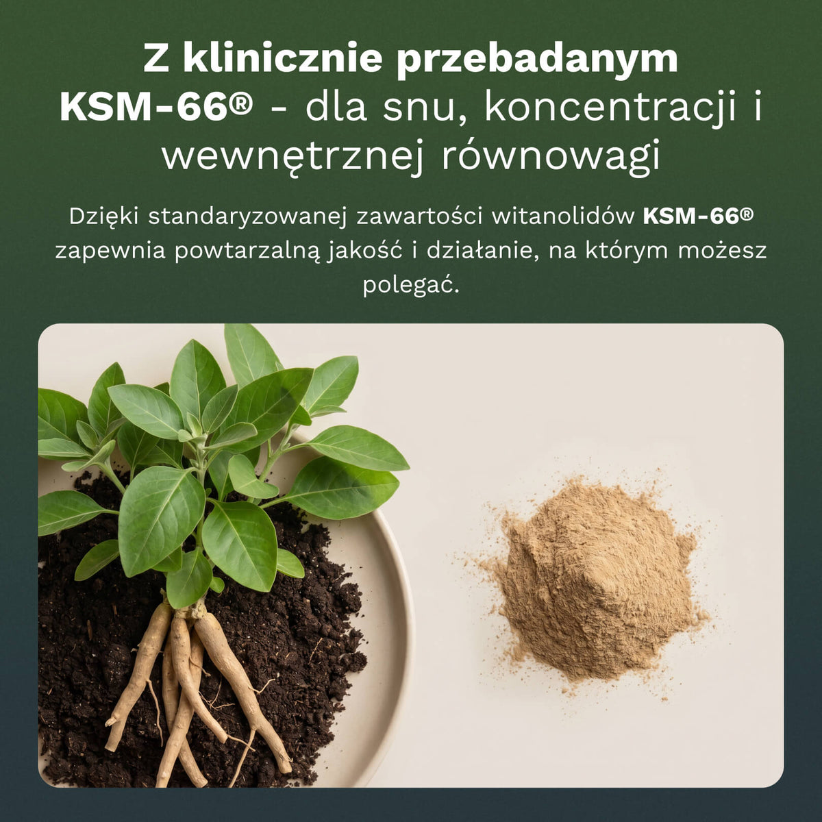 Ashwagandha