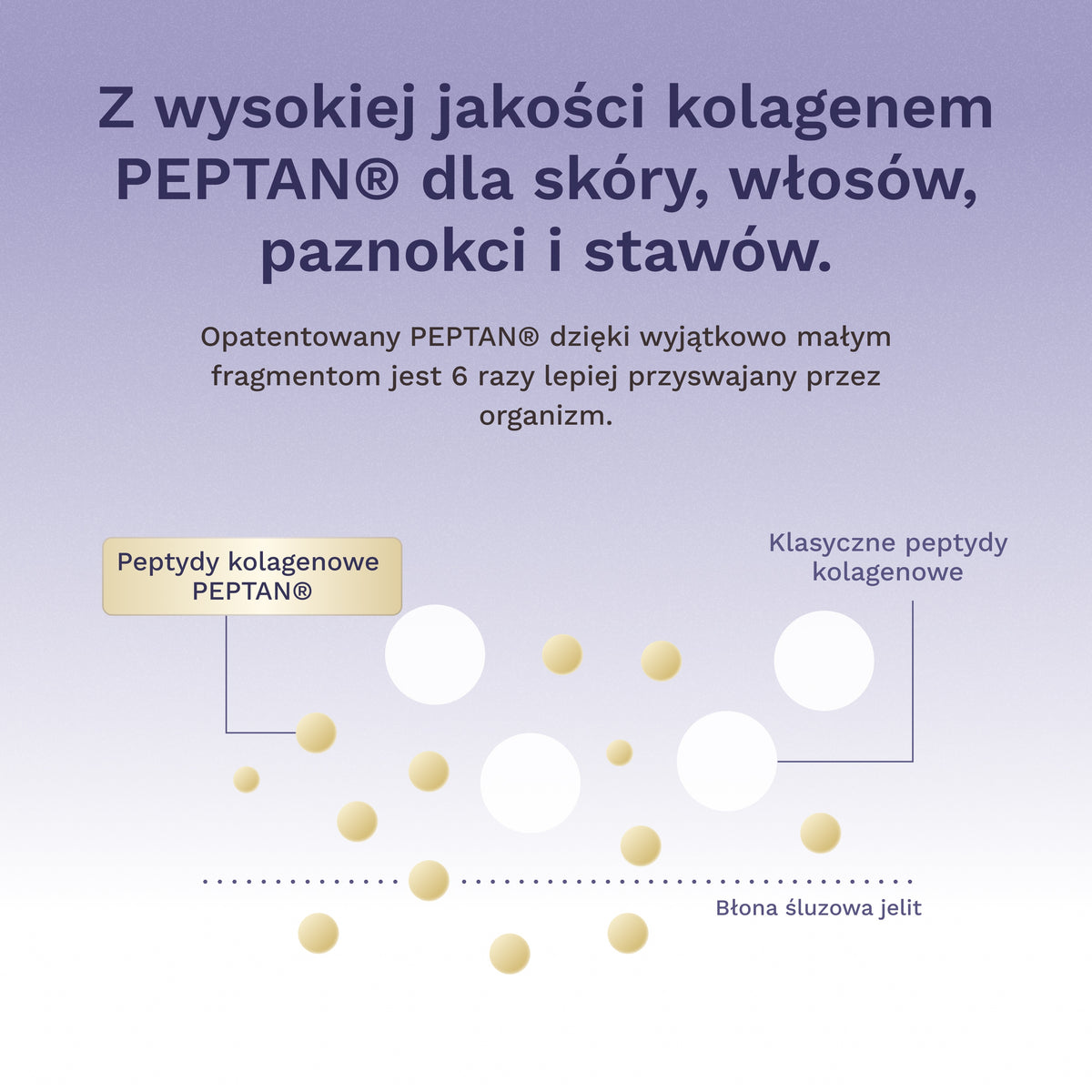 Beauty Kolagen Wildberry z kompleksową formułą Rejuva®